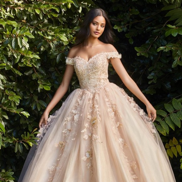 NEW CHUMPAGNE DRESS SWEETHEART NECKLINE LAYERED TULLE BALL GOWN PROM DRESSCD0185 - Picture 1 of 7